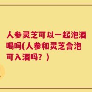 人参灵芝可以一起泡酒喝吗(人参和灵芝合泡可入酒吗？)