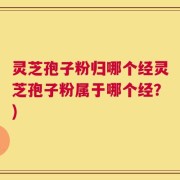 灵芝孢子粉归哪个经灵芝孢子粉属于哪个经？)