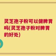 灵芝孢子粉可以健脾胃吗(灵芝孢子粉对脾胃的好处)