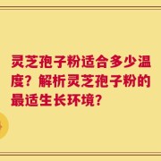 灵芝孢子粉适合多少温度？解析灵芝孢子粉的最适生长环境？