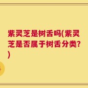 紫灵芝是树舌吗(紫灵芝是否属于树舌分类？)