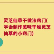 灵芝仙草干做法窍门(学会制作美味干燥灵芝仙草的小窍门)
