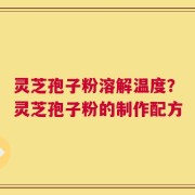 灵芝孢子粉溶解温度？灵芝孢子粉的制作配方