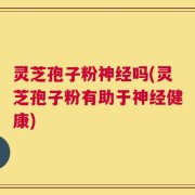灵芝孢子粉神经吗(灵芝孢子粉有助于神经健康)
