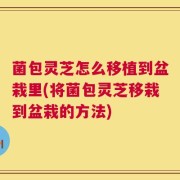 菌包灵芝怎么移植到盆栽里(将菌包灵芝移栽到盆栽的方法)