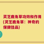 灵芝鹿角草功效和作用(灵芝鹿角草：神奇的保健佳品)