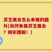 灵芝展会怎么参展的图片(如何参展灵芝展会？精彩图解！)