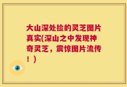 大山深处捡的灵芝图片真实(深山之中发现神奇灵芝，震惊图片流传！)