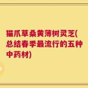 猫爪草桑黄薄树灵芝(总结春季最流行的五种中药材)