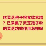 吃灵芝孢子粉食欲大增？已采集了灵芝孢子粉的灵芝功效作用怎样呢