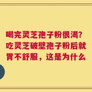 喝完灵芝孢子粉很渴？吃灵芝破壁孢子粉后就胃不舒服，这是为什么