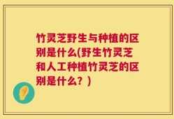 竹灵芝野生与种植的区别是什么(野生竹灵芝和人工种植竹灵芝的区别是什么？)