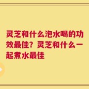 灵芝和什么泡水喝的功效最佳？灵芝和什么一起煮水最佳