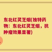 东北红灵芝烟(独特药物：东北红灵芝烟，抗肿瘤效果显著)