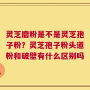 灵芝磨粉是不是灵芝孢子粉？灵芝孢子粉头道粉和破壁有什么区别吗