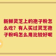 新鲜灵芝上的孢子粉怎么吃？有人买过灵芝孢子粉吗怎么用比较好呢