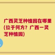 广西灵芝种植园在哪里(位于何方？广西一灵芝种植园)