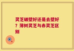 灵芝破壁好还是去壁好？薄树灵芝与赤灵芝区别