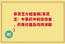 采灵芝介绍音频(采灵芝：中草药中的佼佼者，药用价值及功效详解)