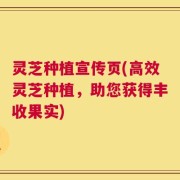 灵芝种植宣传页(高效灵芝种植，助您获得丰收果实)