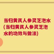 当归黄芪人参灵芝泡水(当归黄芪人参灵芝泡水的功效与做法)