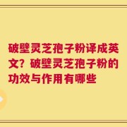 破壁灵芝孢子粉译成英文？破壁灵芝孢子粉的功效与作用有哪些