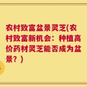 农村致富盆景灵芝(农村致富新机会：种植高价药材灵芝能否成为盆景？)