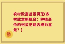 农村致富盆景灵芝(农村致富新机会：种植高价药材灵芝能否成为盆景？)