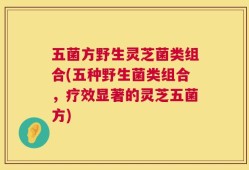 五菌方野生灵芝菌类组合(五种野生菌类组合，疗效显著的灵芝五菌方)