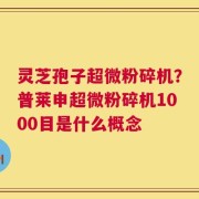 灵芝孢子超微粉碎机？普莱申超微粉碎机1000目是什么概念