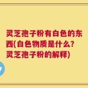 灵芝孢子粉有白色的东西(白色物质是什么？灵芝孢子粉的解释)