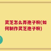 灵芝怎么弄孢子粉(如何制作灵芝孢子粉)