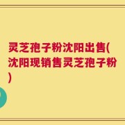 灵芝孢子粉沈阳出售(沈阳现销售灵芝孢子粉)
