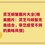 灵芝螃蟹图片大全(精美图片：灵芝与螃蟹完美结合，带您感受不同的美味风情)