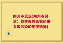 同沟寺灵芝(同沟寺灵芝：自然天然无农药重金属污染的绝佳选择)