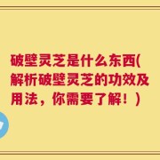 破壁灵芝是什么东西(解析破壁灵芝的功效及用法，你需要了解！)