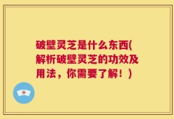 破壁灵芝是什么东西(解析破壁灵芝的功效及用法，你需要了解！)