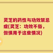 灵芝的药性与功效禁忌症(灵芝：功效不俗，但慎用于这些情况)