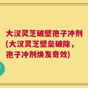 大汉灵芝破壁孢子冲剂(大汉灵芝壁垒破除，孢子冲剂焕发奇效)