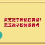 灵芝孢子粉粘在胃壁？灵芝孢子粉刺激胃吗