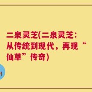二泉灵芝(二泉灵芝：从传统到现代，再现“仙草”传奇)
