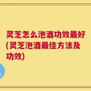 灵芝怎么泡酒功效最好(灵芝泡酒最佳方法及功效)