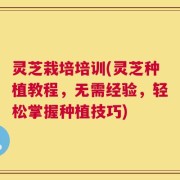 灵芝栽培培训(灵芝种植教程，无需经验，轻松掌握种植技巧)