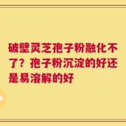破壁灵芝孢子粉融化不了？孢子粉沉淀的好还是易溶解的好