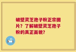破壁灵芝孢子粉正宗图片？了解破壁灵芝孢子粉的真正面貌？