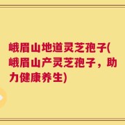 峨眉山地道灵芝孢子(峨眉山产灵芝孢子，助力健康养生)