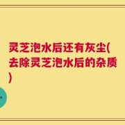 灵芝泡水后还有灰尘(去除灵芝泡水后的杂质)