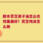 椴木灵芝孢子油怎么吃效果最好？灵芝鸡汤怎么做