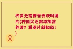 种灵芝需要营养液吗图片(种植灵芝需添加营养液？看图片就知道！)