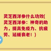 灵芝西洋参什么功效(灵芝西洋参：神奇的助力，提高免疫力、抗疲劳、延缓衰老！)
